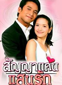 欢喜冤家电视剧,爱恨交织的甜蜜纠葛