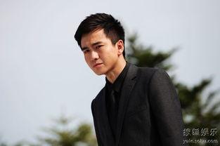 翟天临主演的电视剧,揭开权谋与情感交织的宫廷之谜