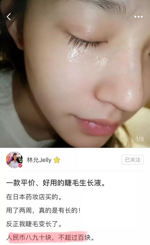 网红与明星手帐,揭秘他们的生活轨迹与创意灵感