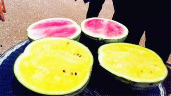 吃瓜爆料每日大瓜,吃瓜爆料，每日大瓜新鲜出炉！